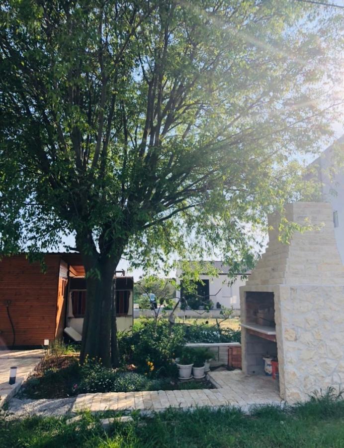 Apartmani Veronika Sukošan المظهر الخارجي الصورة